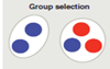 group selection